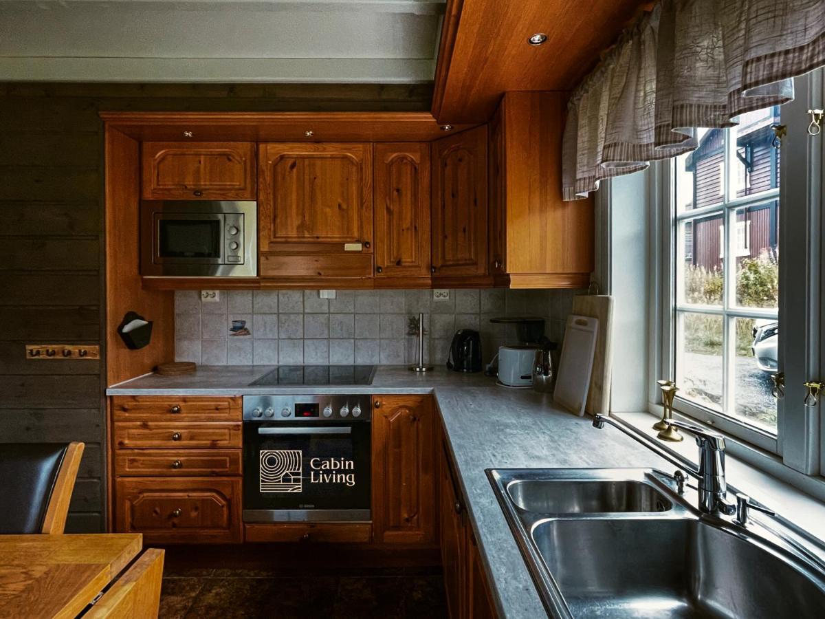 Great Apartment In Trysil, Ski Inout, Wifi, Sauna Εξωτερικό φωτογραφία